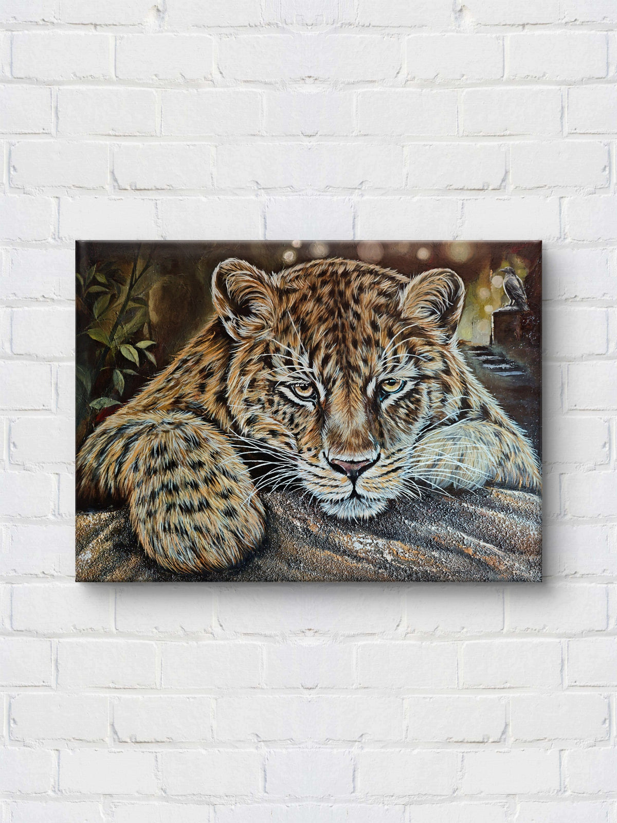Leopard's Gaze / 75 × 55 cm
